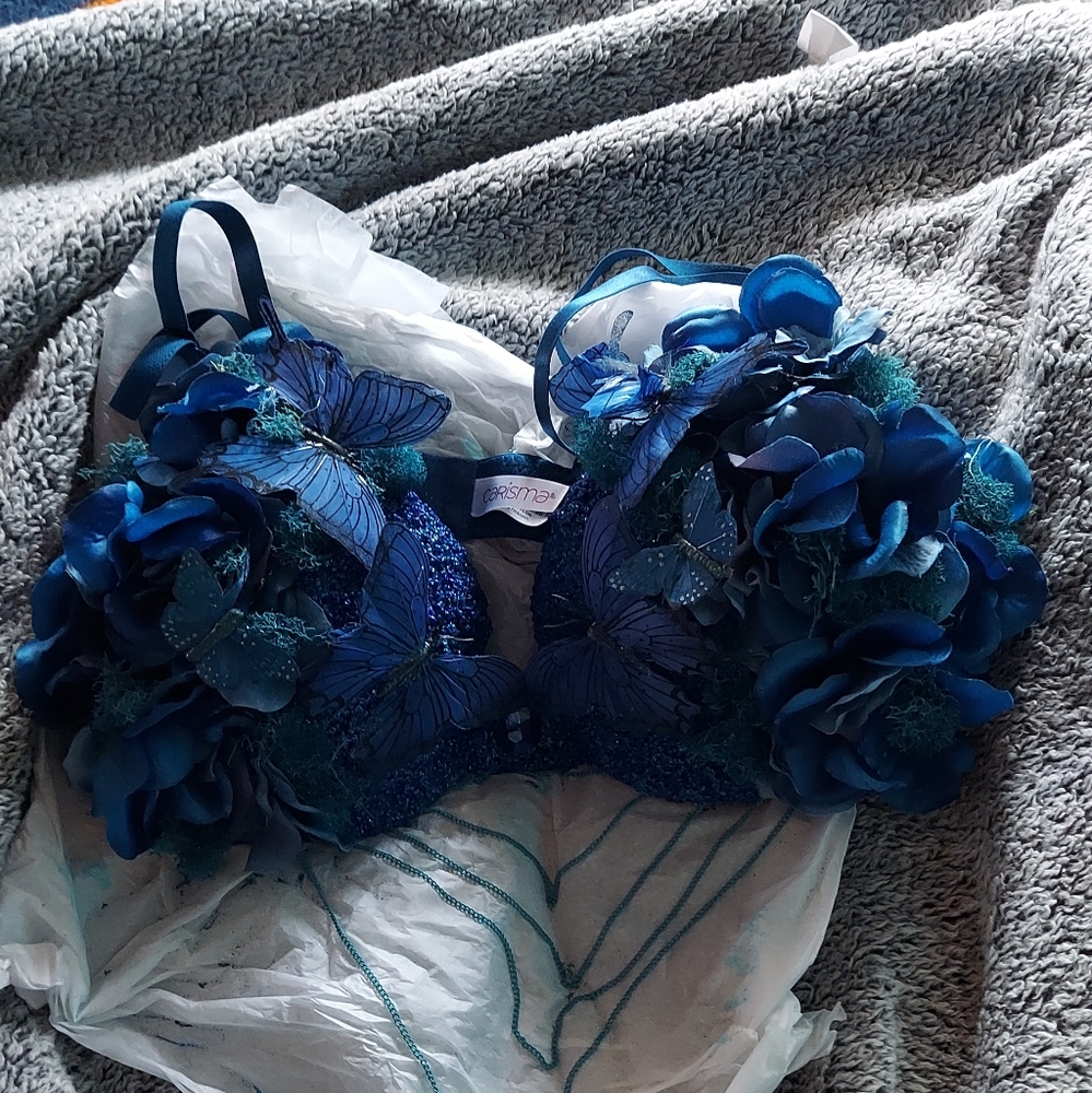 A beautiful Mermaid Butterfly Bra
